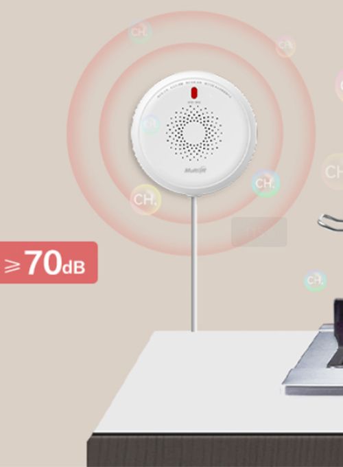 Wireless Gas Leak Detector