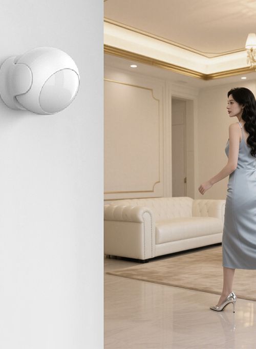 PIR Motion Sensor