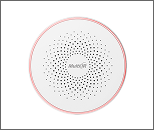 Sound & Flash Alarm Siren